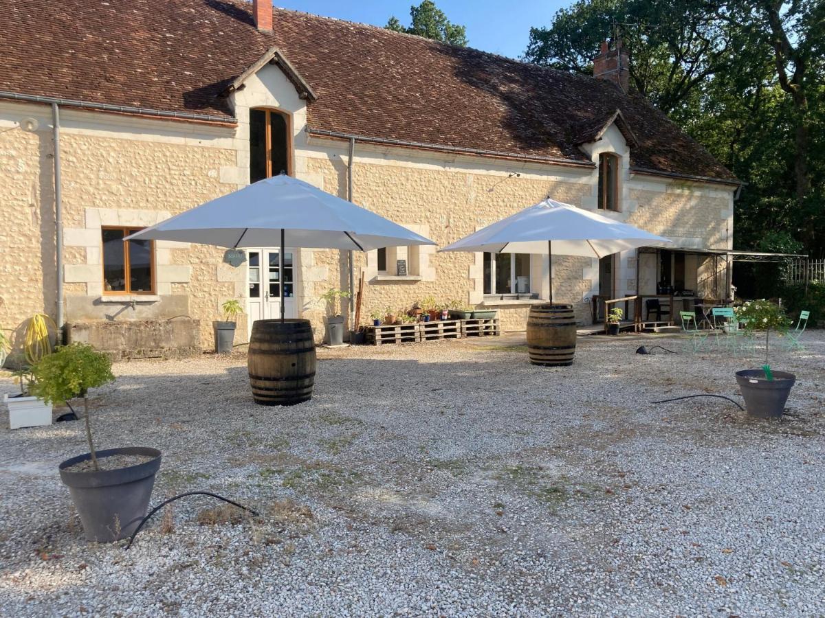 Les Pierres D'Aurele Chambres D'Hotes Saint-Georges-sur-Cher Εξωτερικό φωτογραφία